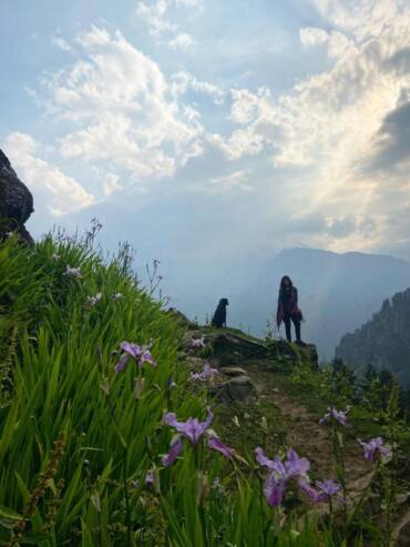 Daily guided nature walks in Sethan, Manali with eco glamping GlampEco