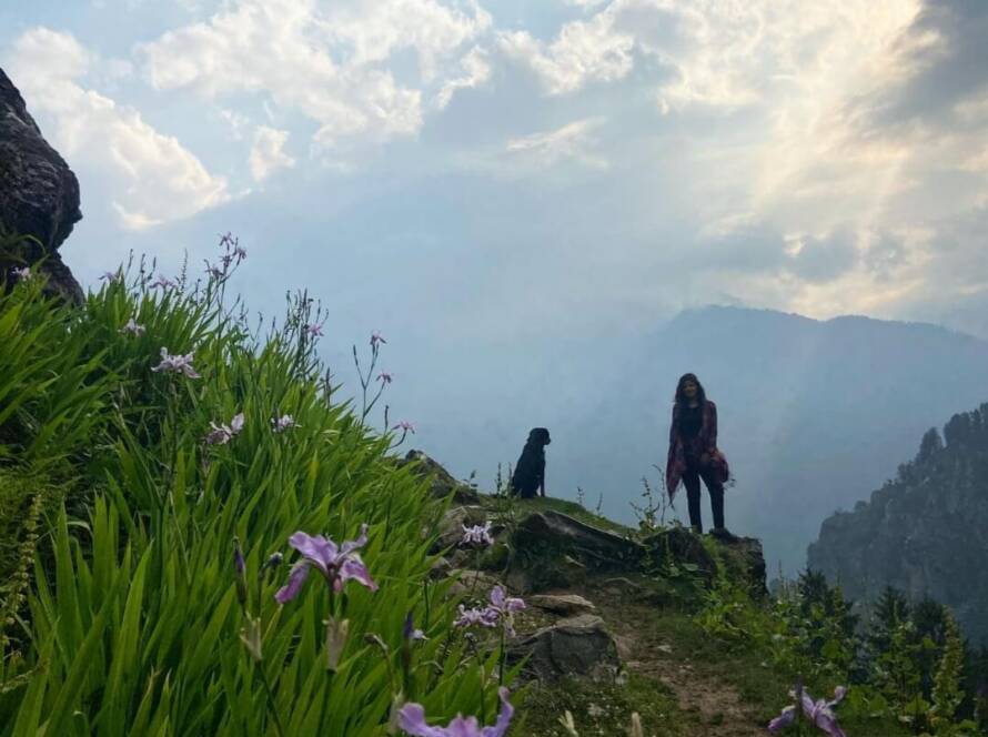 Daily guided nature walks in Sethan, Manali with eco glamping GlampEco