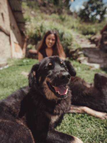 Nature around eco-friendly glamping GlampEco in Manali