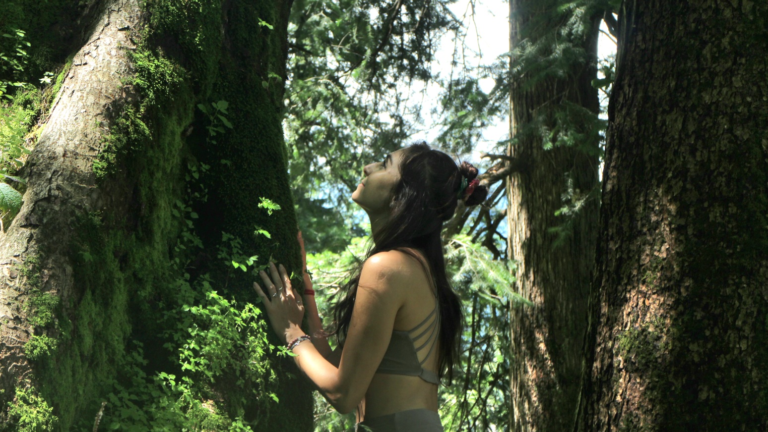 Solo traveler in nature – hiking with GlampEco Manali