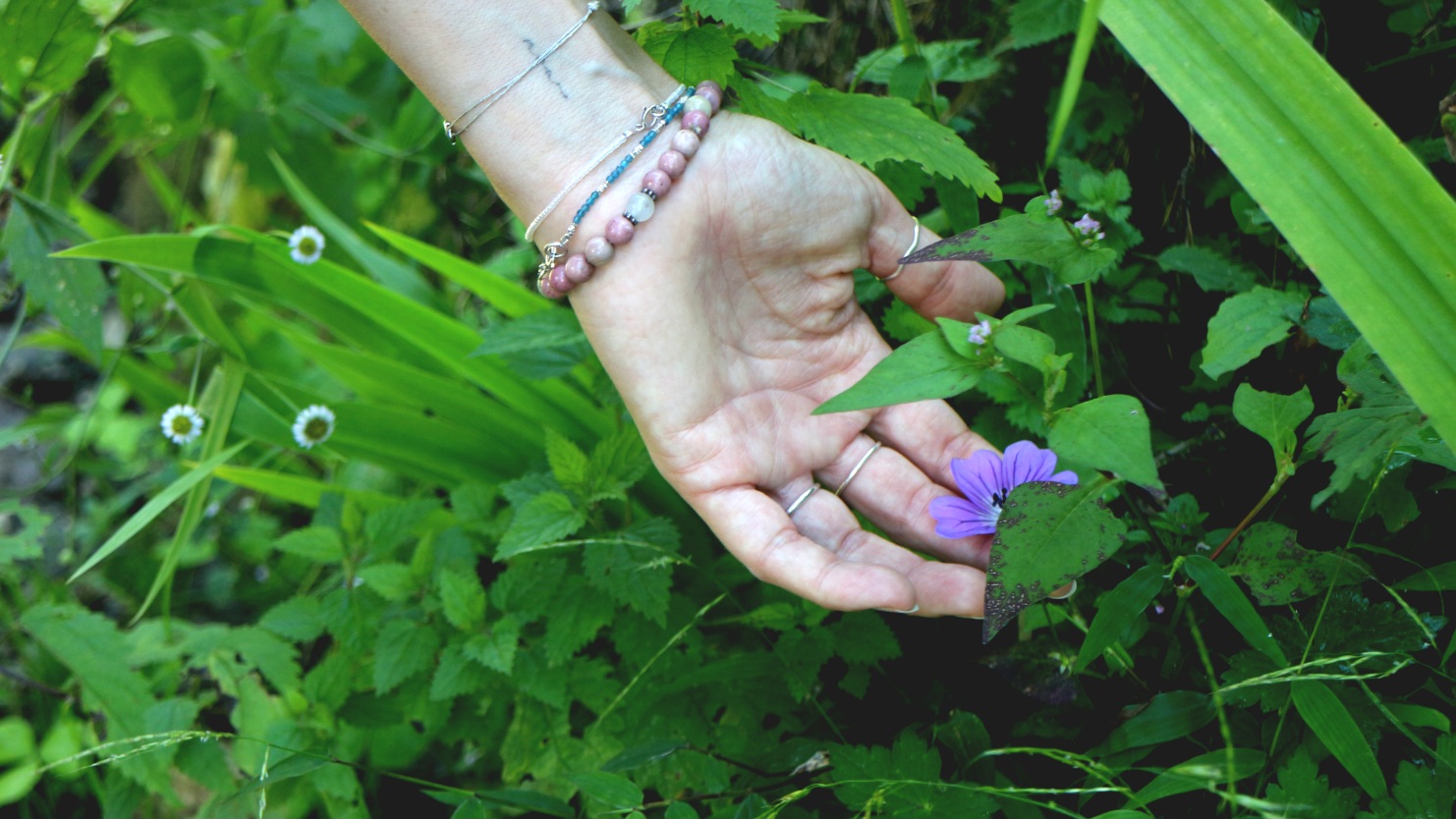 Flowers spotted during guided nature walk with GlampEco Manali