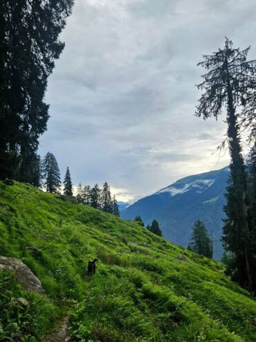 Nature walks and bird watching experiences with GlampEco in Sethan