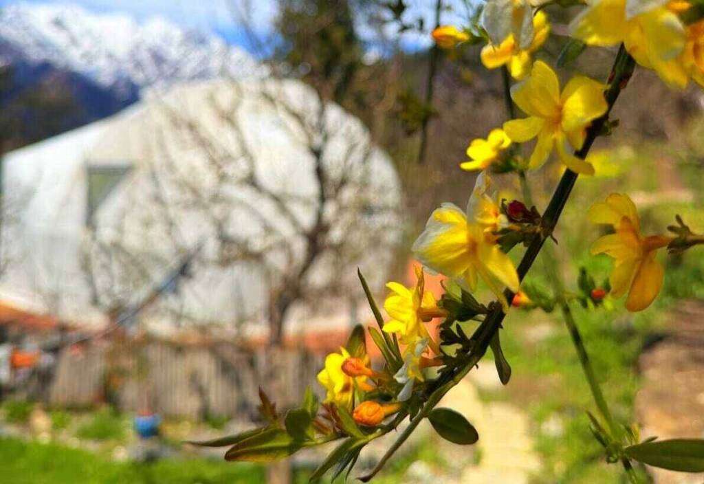 WhatsApp Image 2026-04-19 at 08.32.18 (1) (1)