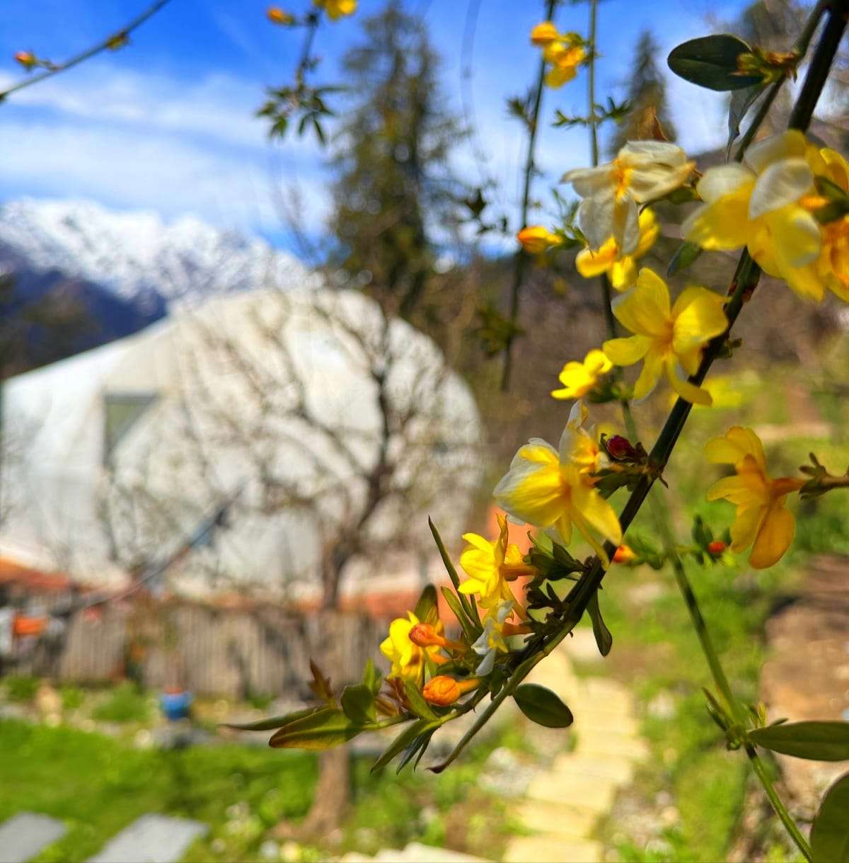 WhatsApp Image 2026-04-19 at 08.32.18